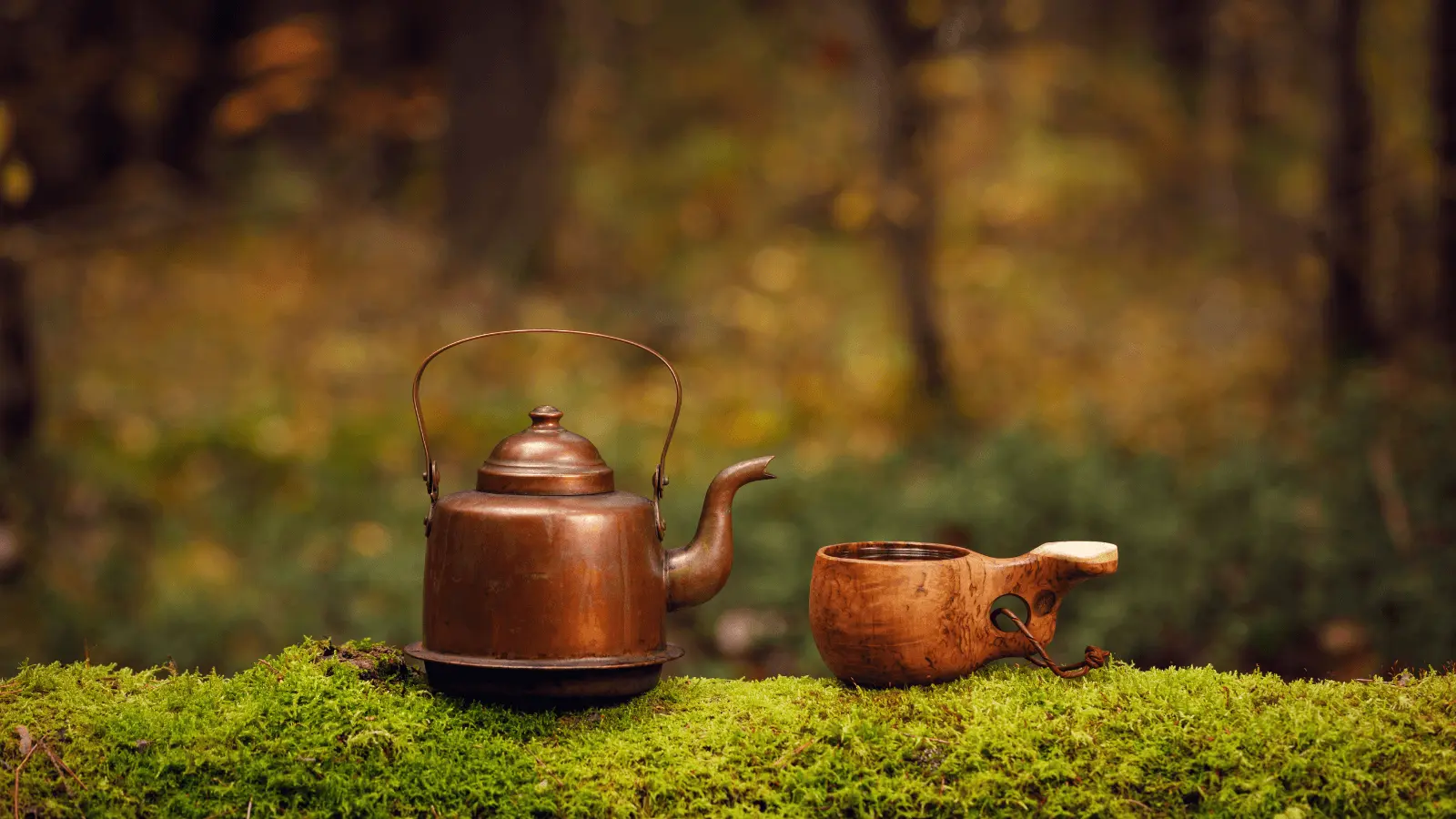 Kuksa Nedir? El Yapımı Kuksaların Hikayesi ve Anlamı