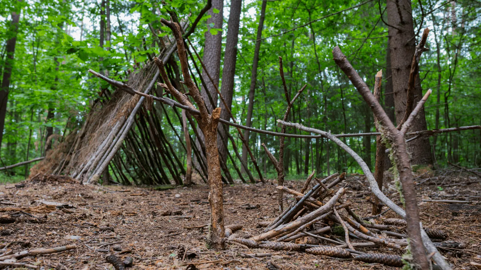 Kamp ve Bushcraft Arasındaki Fark Nedir? Doğayı Deneyimlemenin İki Farklı Yolu
