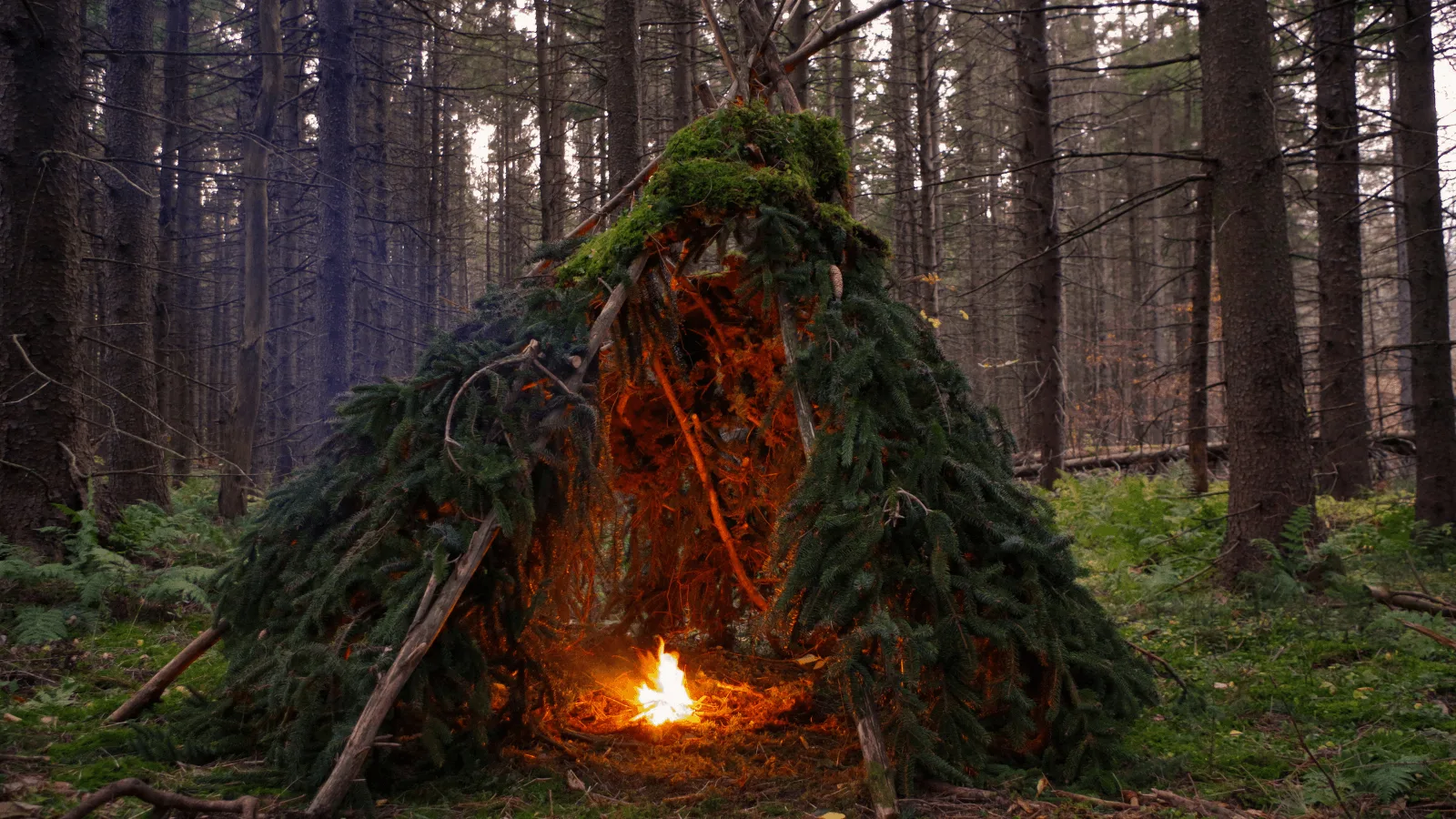 Bushcraft Nedir? Doğada Hayatta Kalma ve Beceri Geliştirme Rehberi