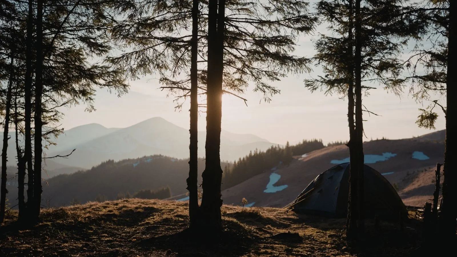 Doğanın Hafızasını Okumak: Bushcraft ile “Görünmeyeni Görme” Sanatı