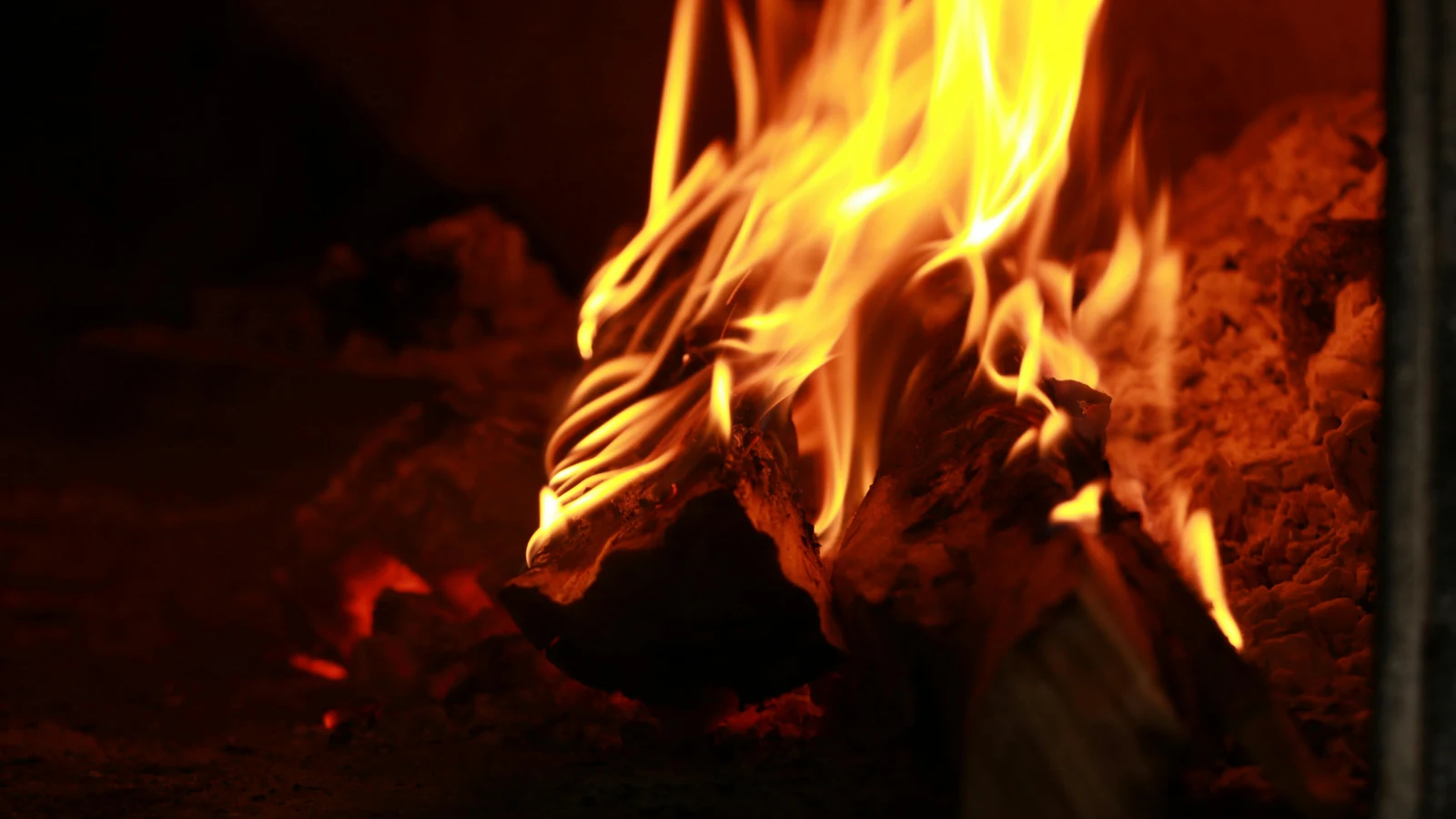 Ateş Yakmadan Isınmak: Doğada Ateşsiz Isınma ve Bushcraft Hayatta Kalma Teknikleri |