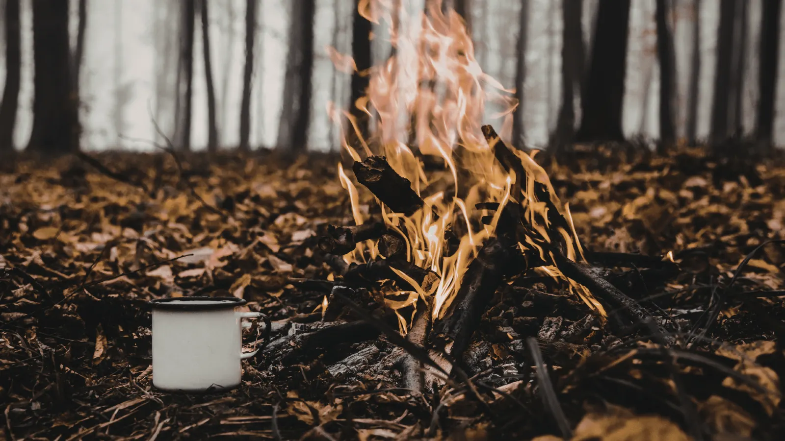 Kamp Ateşi İnsanı Nasıl Değiştirir? Bushcraft ile Modern Hayatta Yeniden Denge Kurmak