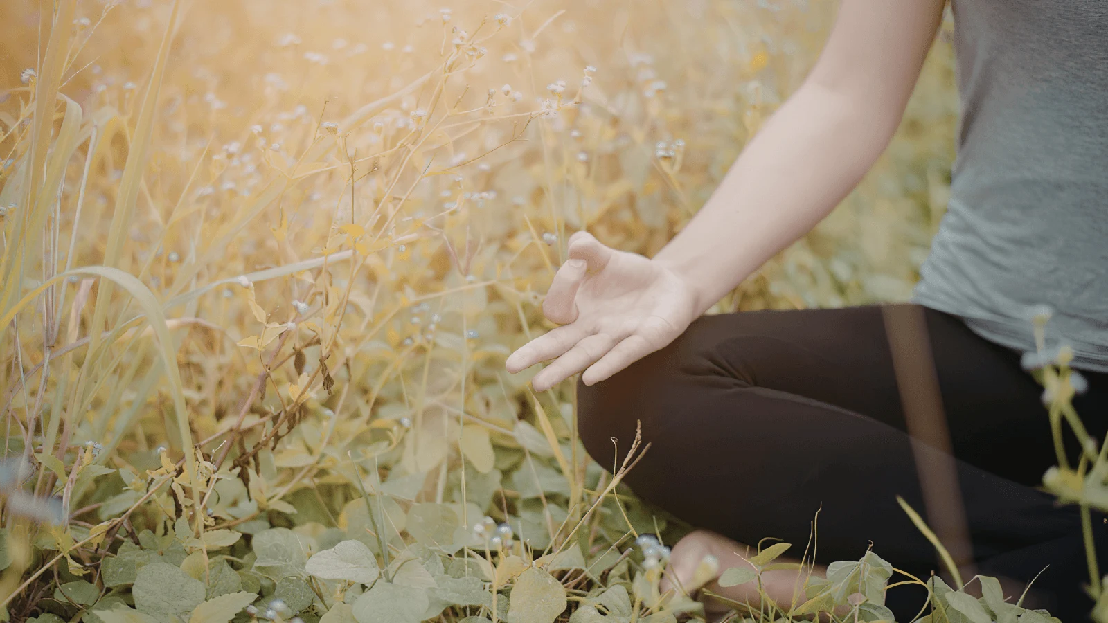 Doğada Meditasyon ve Mindfulness: Bushcraft ile Zihni Sıfırlamanın Sırları 
