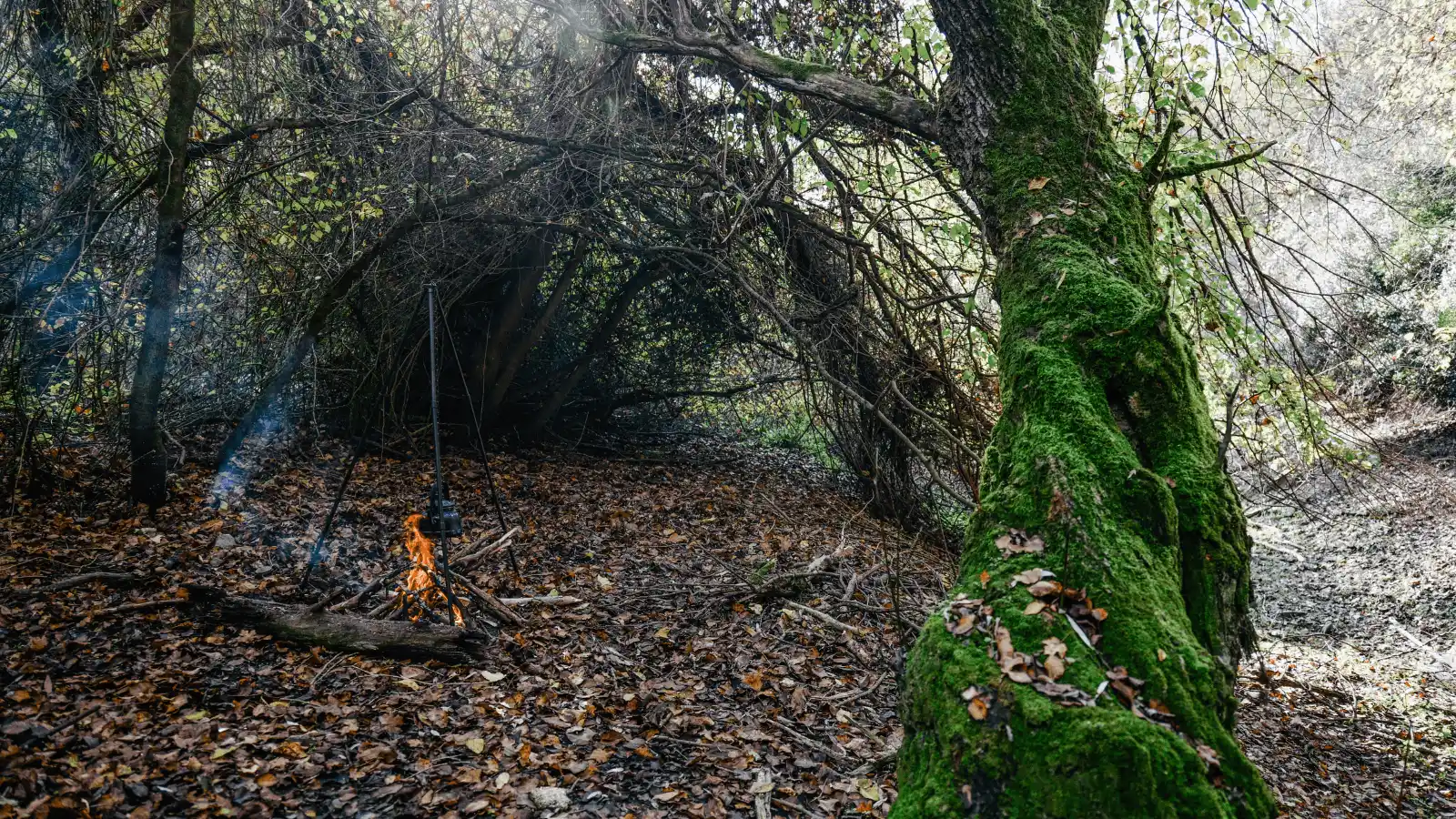 Unutulmuş Doğal Beceriler: Modern İnsan İçin Bushcraft’ın Gizli Öğretileri