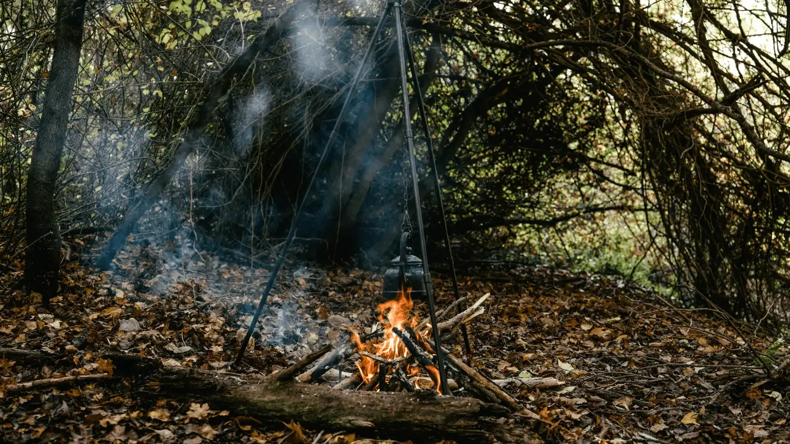 Bushcraft mı Kamp mı?