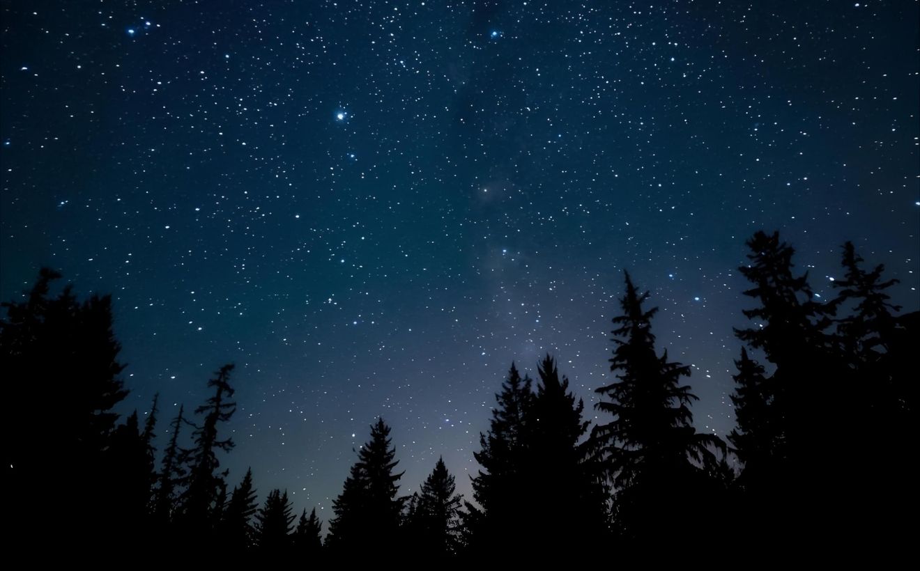 Karanlığın Bilimi: Ateş Olmadan Doğada Gece Hayatta Kalmak