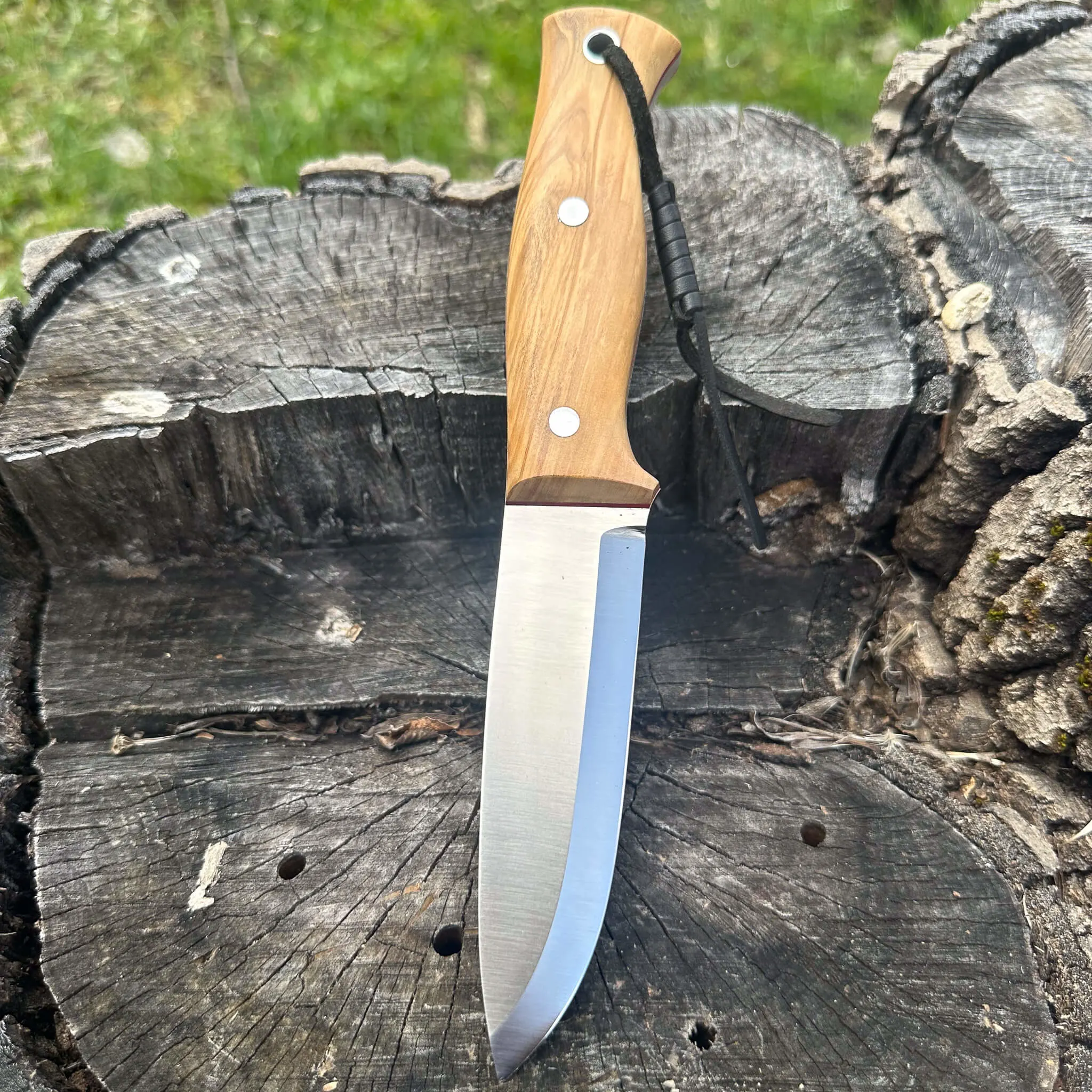 Böhler N690 Çelik Bıçak 21.5 cm Zeytin Saplı