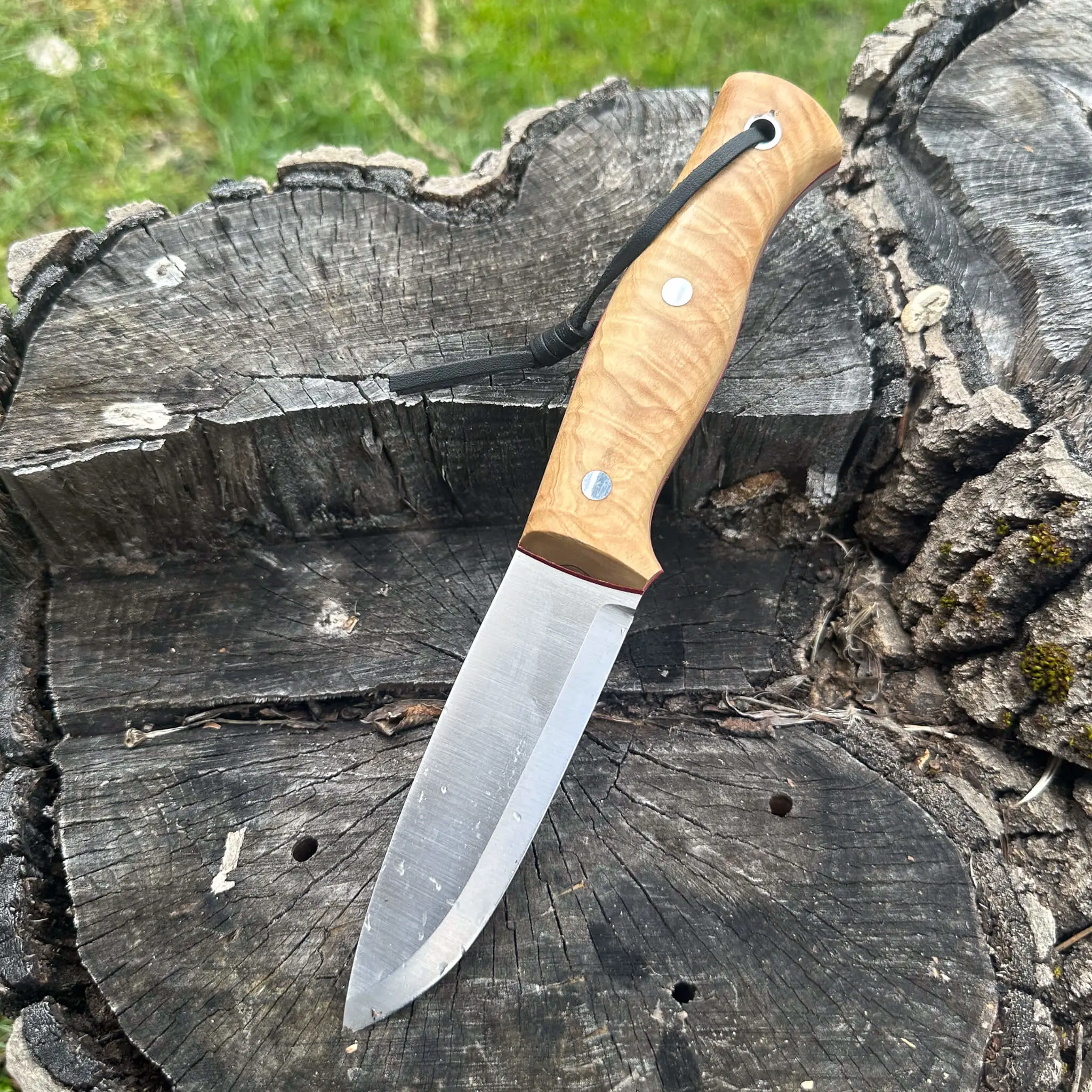 Böhler N690 Çelik Bıçak 22.5 cm Zeytin Saplı 
