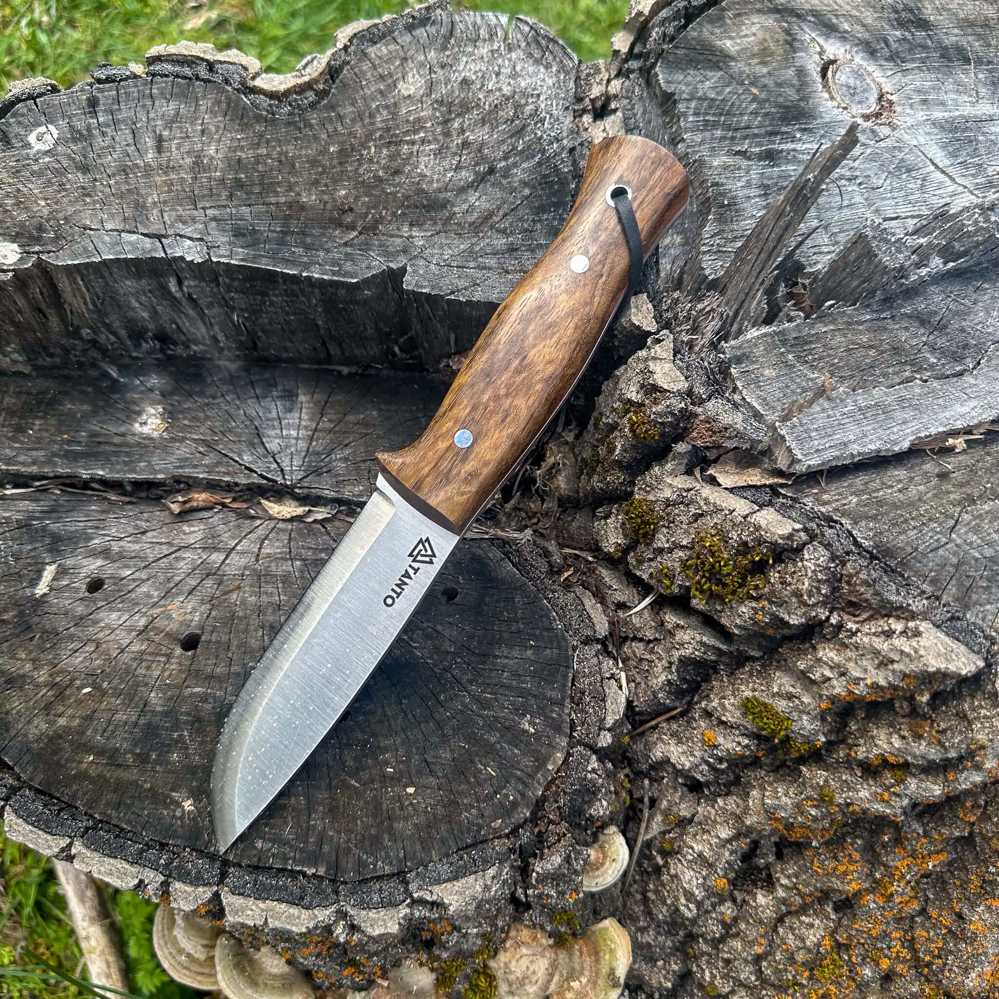 4116 Bushcraft Bıçağı 23 cm Ceviz Saplı