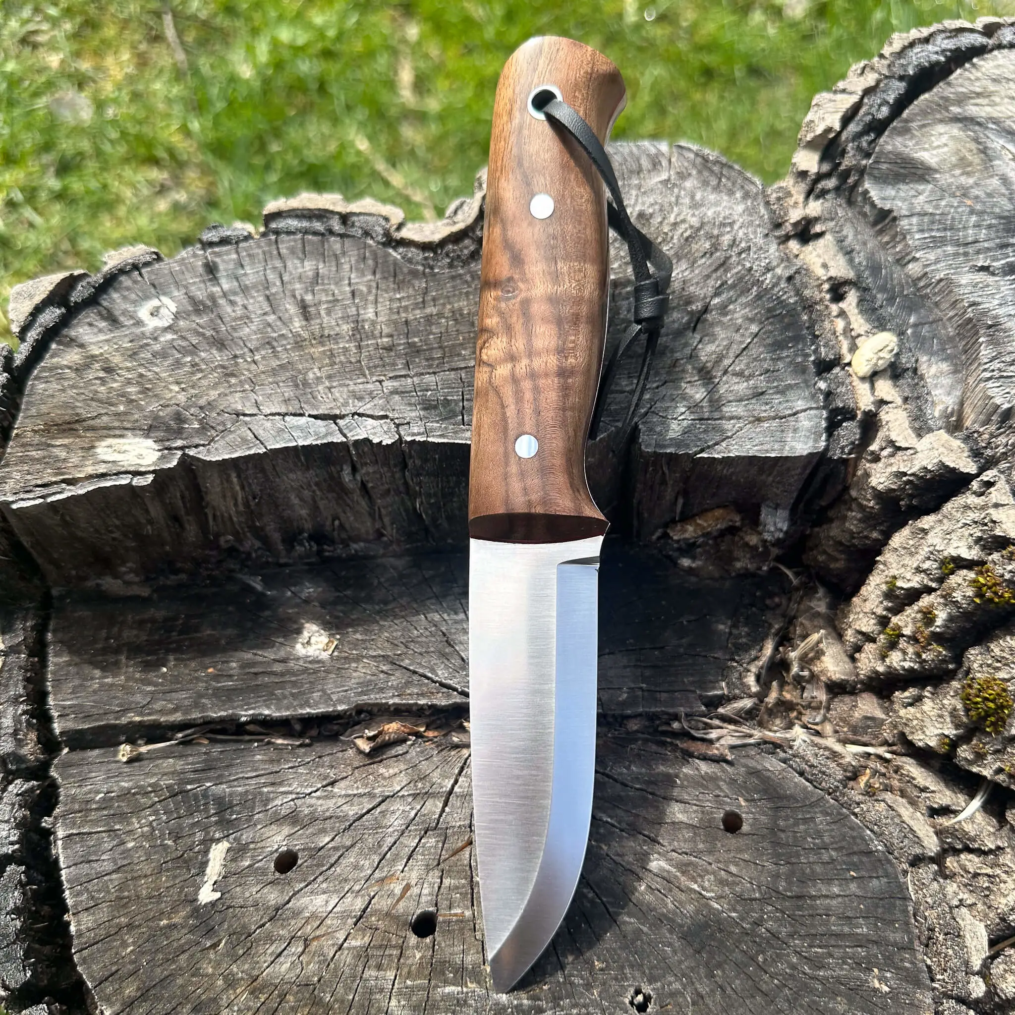 Böhler N690 Çelik Bıçak 22.5 cm Ceviz Sap 