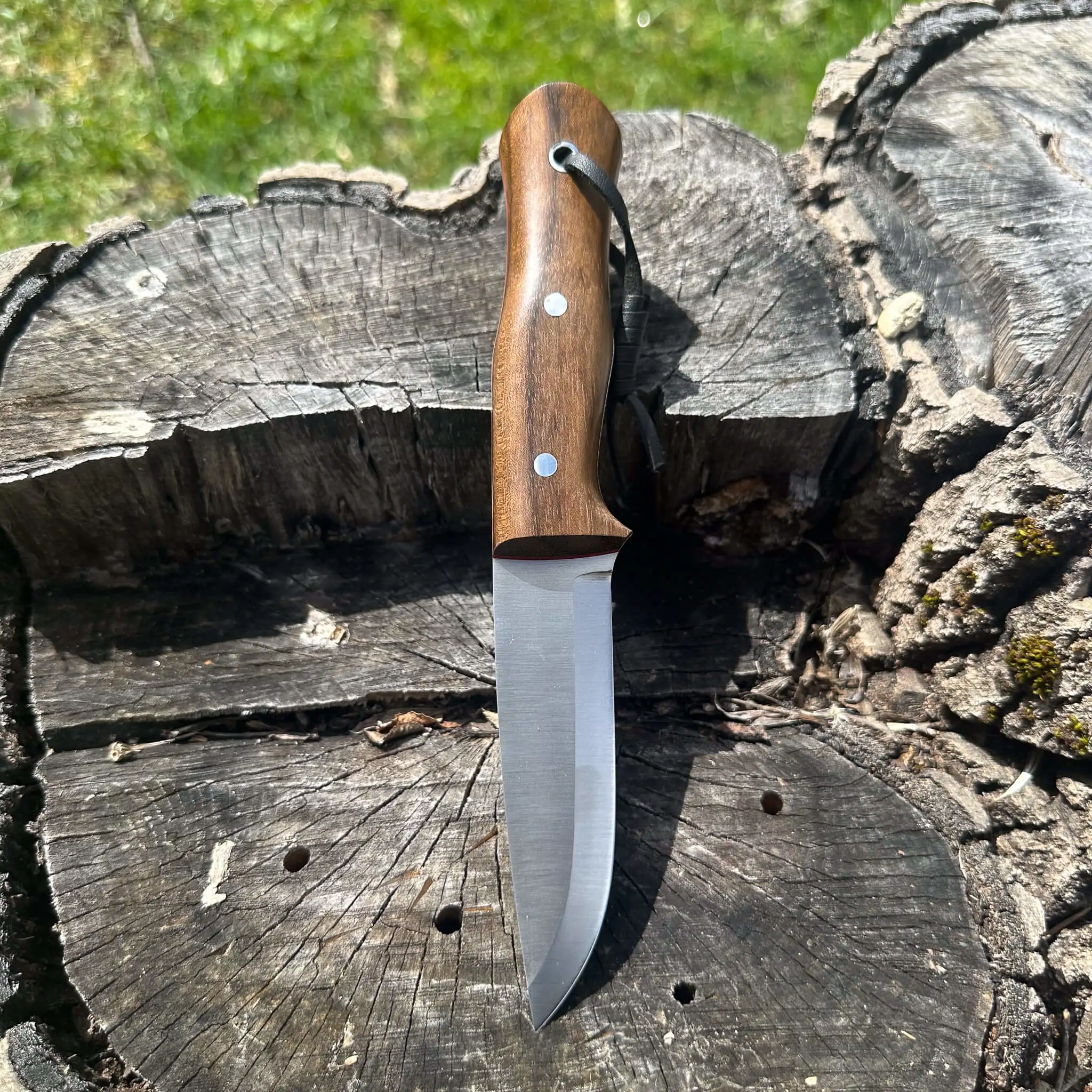4116 Bushcraft Bıçak 21 cm Çelik Ceviz Saplı